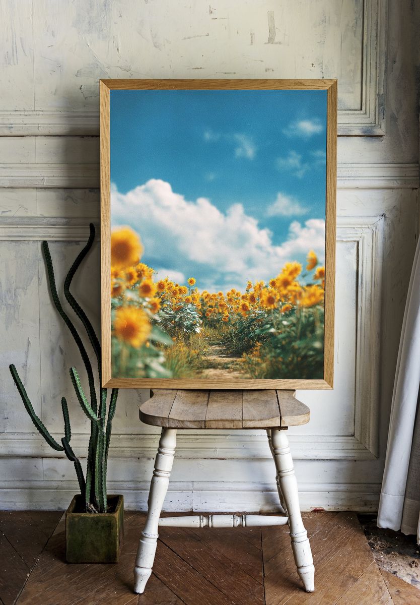 Sunflower Field Sky Photography Poster. — room view 1