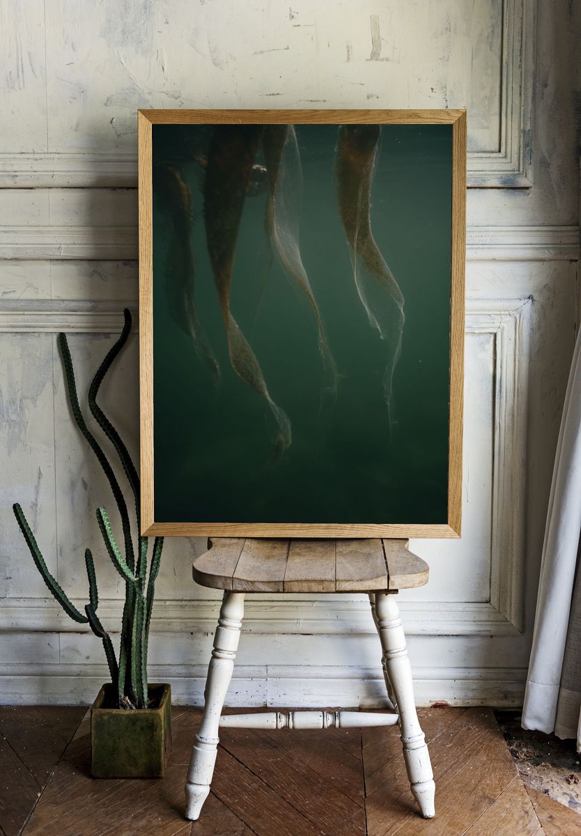 Underwater Kelp Forest — Nature Print room preview