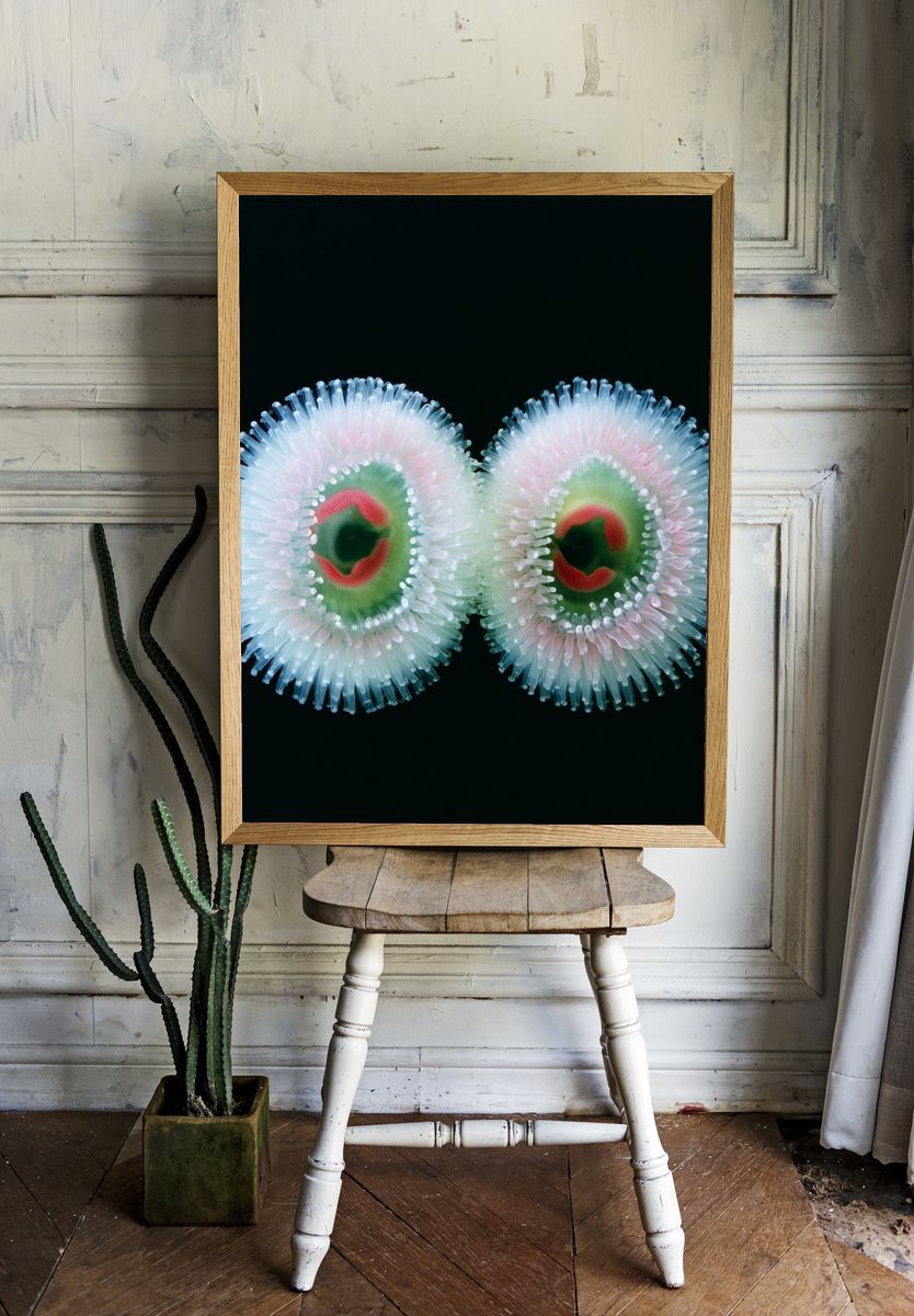 Bioluminescent Sea Anemones Print. room preview
