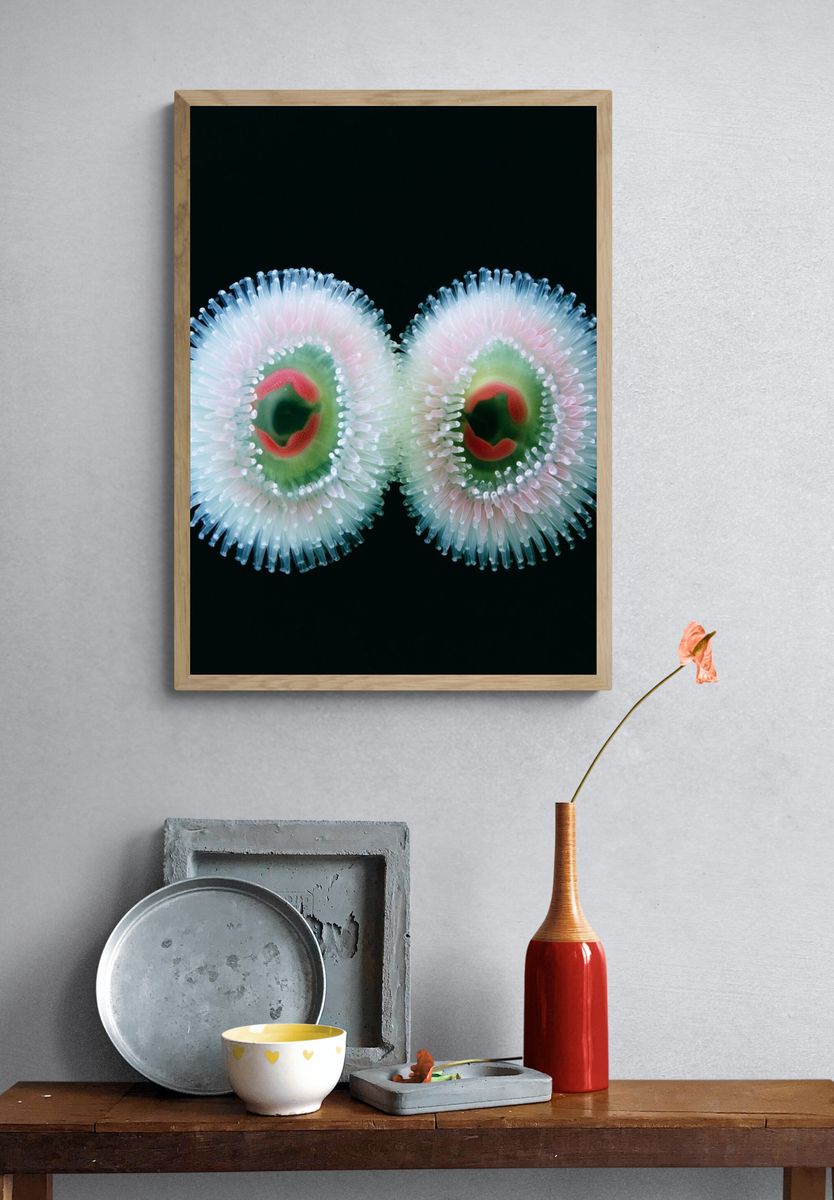 Bioluminescent Sea Anemones Print. — room view 3