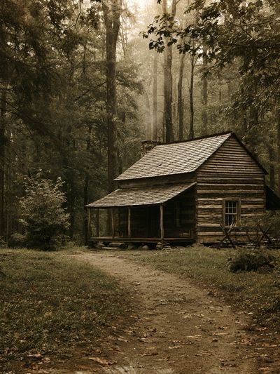 Forest Cabin Landscape Poster. poster