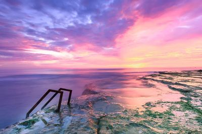 Rockpool covered seaweed sea ladder. poster