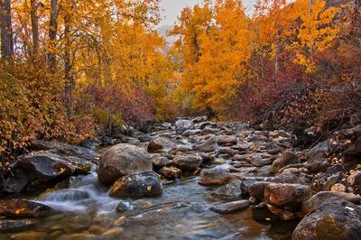 Autumn River Landscape Poster.