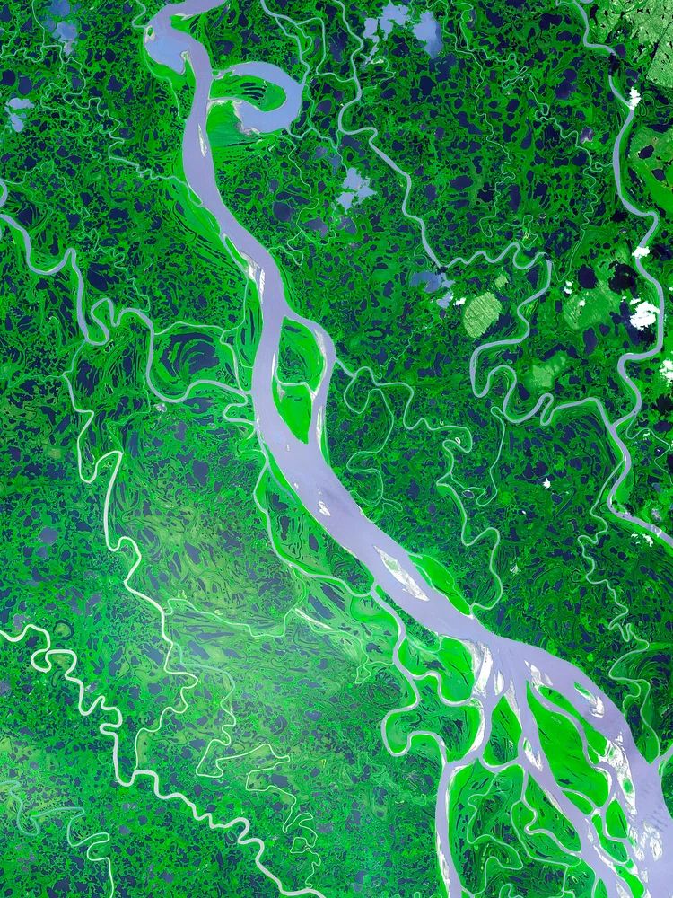 Aerial River Landscape Poster. poster detail
