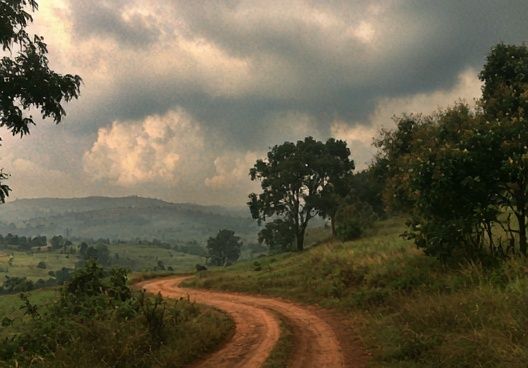 Misty Country Road Landscape Print. poster detail