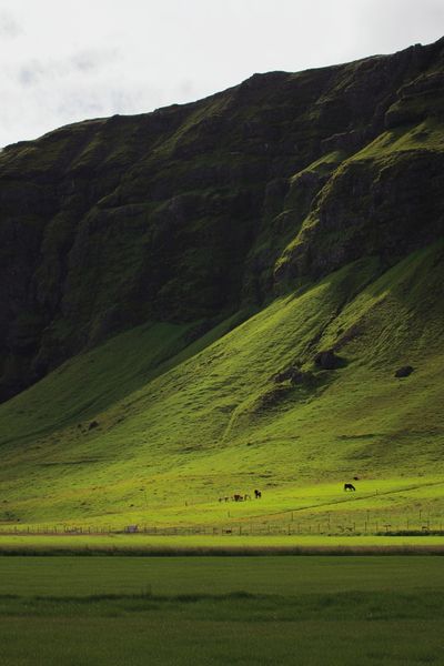 Icelandic Landscape — Nature Poster. poster print