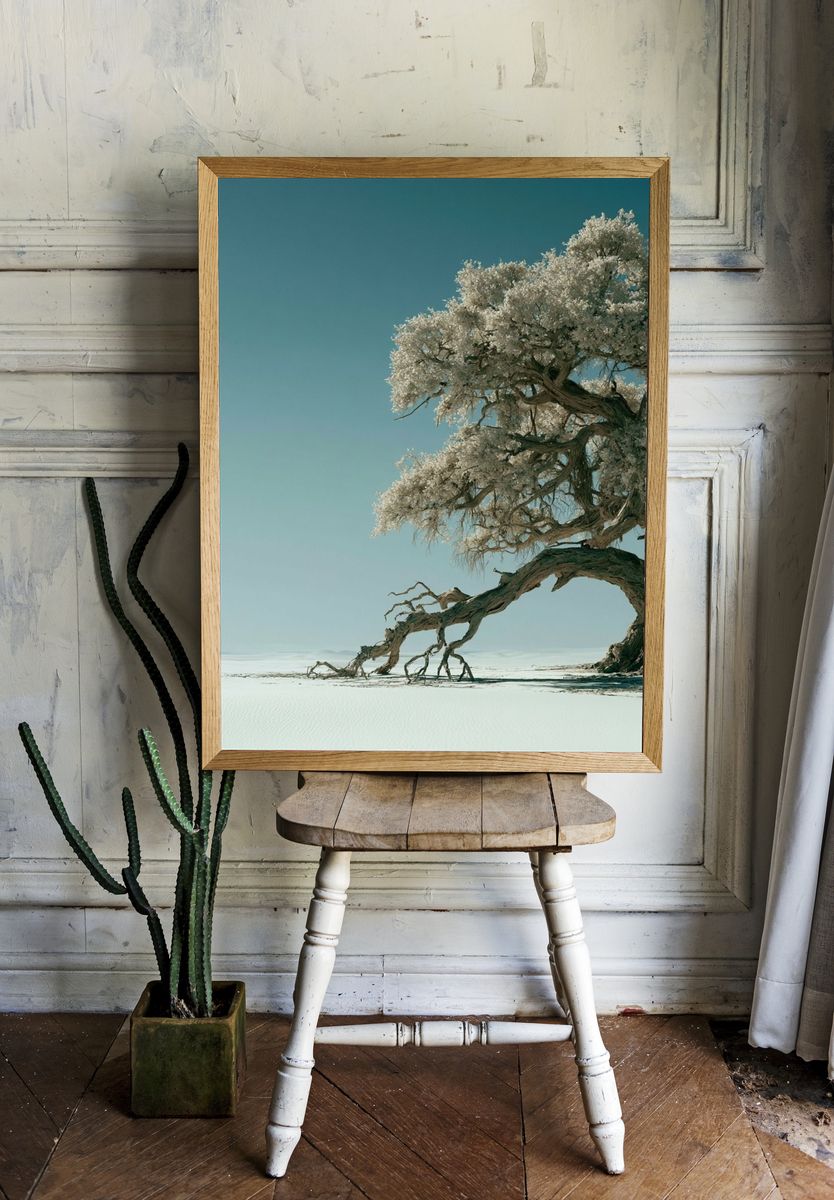 Solitary Tree in Snowy Landscape Print. room preview