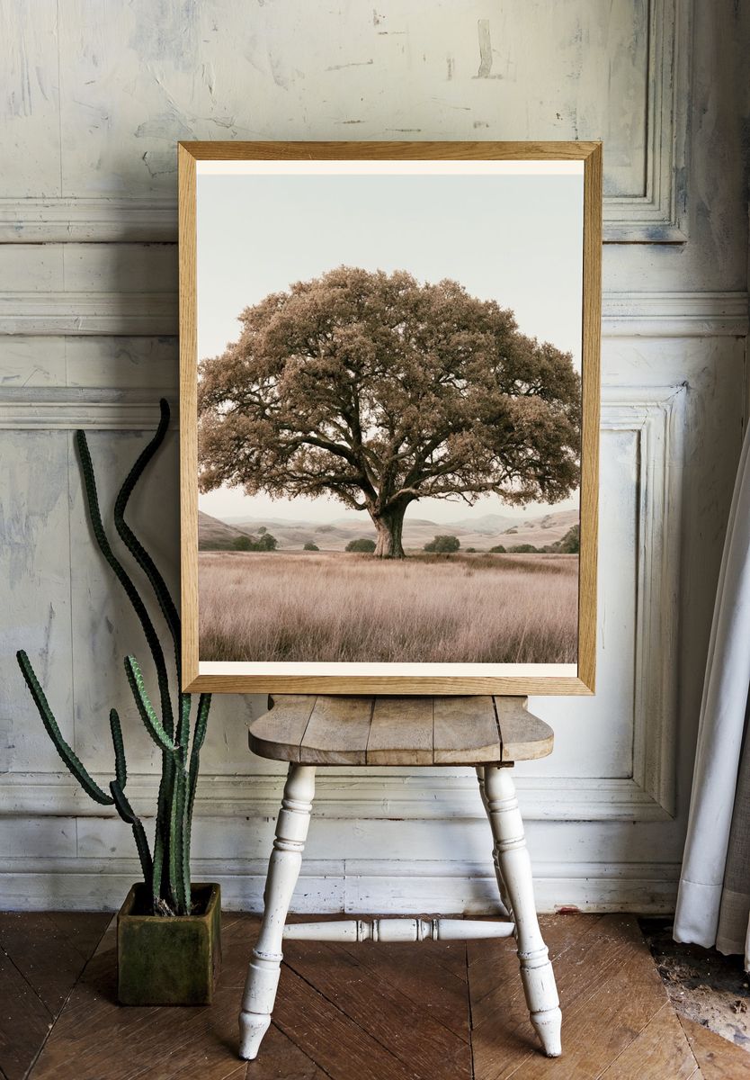 Solitary Oak in Meadow Photography Poster. — room view 1