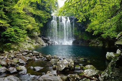 Cheonjiyeon waterfall Jeju island, Korea