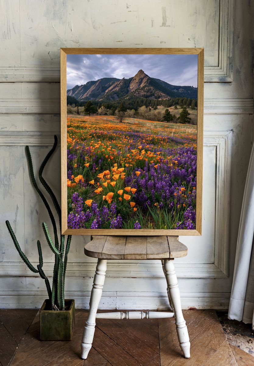 Wildflower Meadow Mountain Landscape Poster. — room view 1