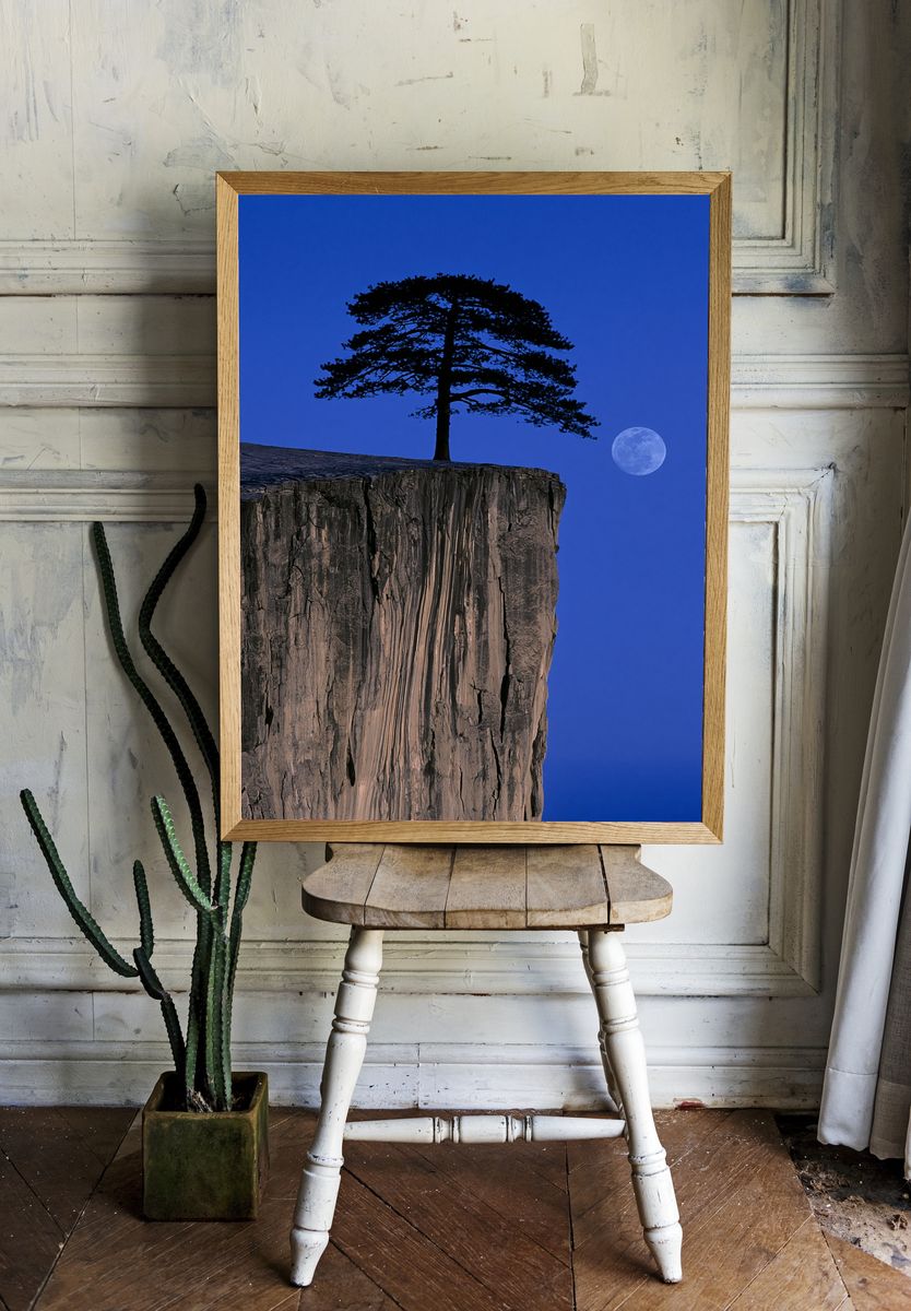 Moonlit Cliff Pine Photography Poster. — room view 1