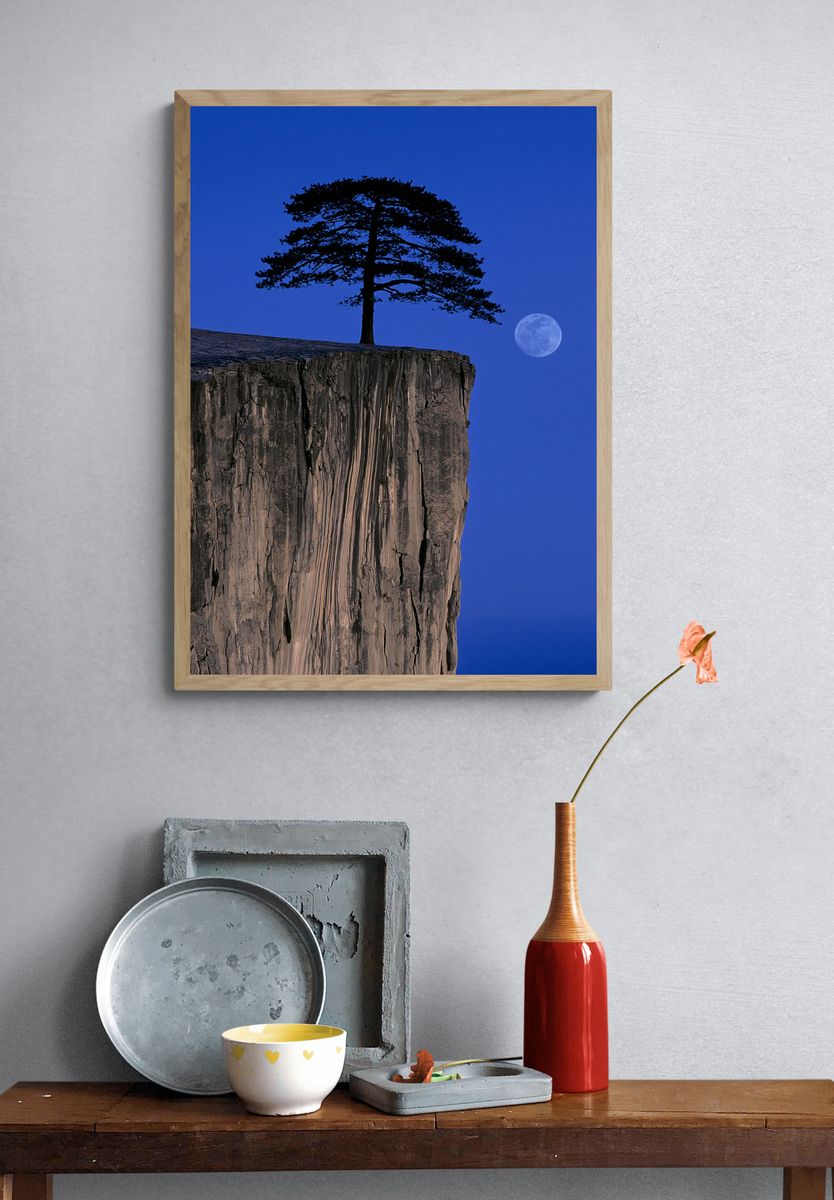 Moonlit Cliff Pine Photography Poster. — room view 3