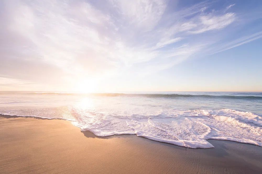 San Diego, United States. Original. poster — nature art