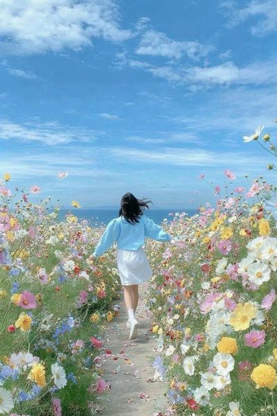 Flower Field by the Sea Poster.