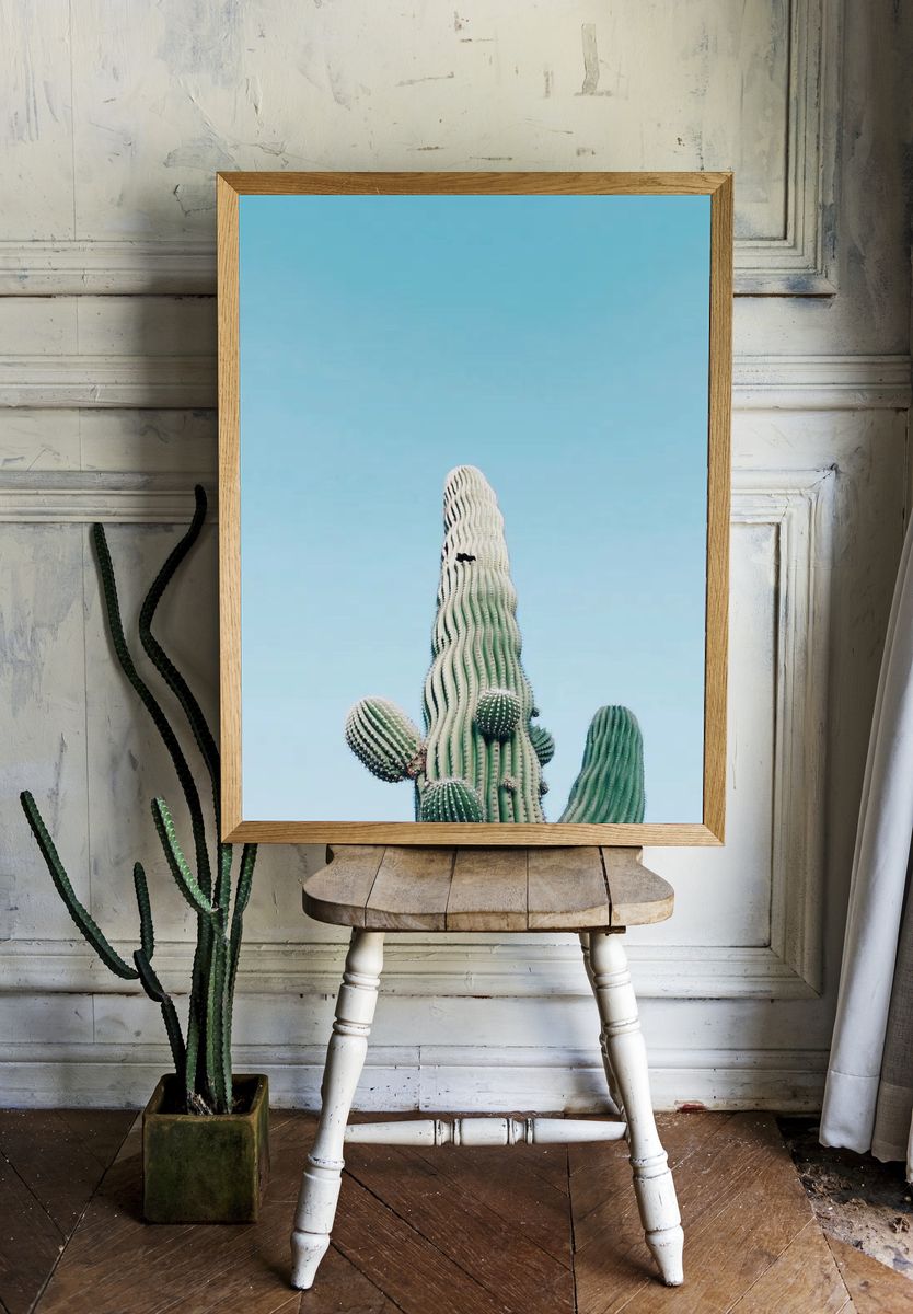 Saguaro Cactus, Arizona, United States. — room view 1