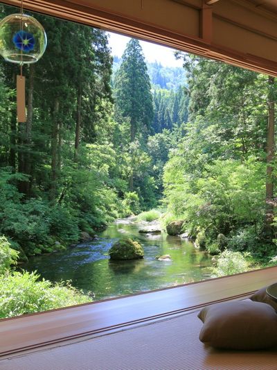 Forest Stream View Poster.