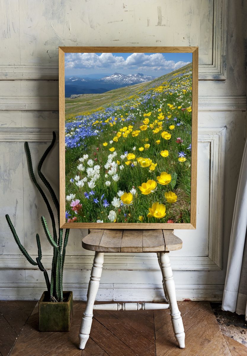 Alpine Wildflower Meadow Nature Print. — room view 1