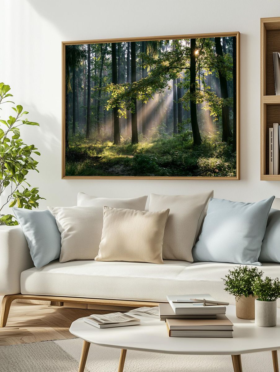 Sunlit Forest Morning Photography Poster. — room view 2