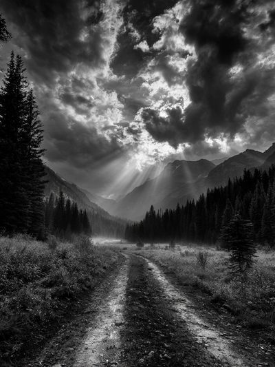 Misty Mountain Valley Photography Poster. poster