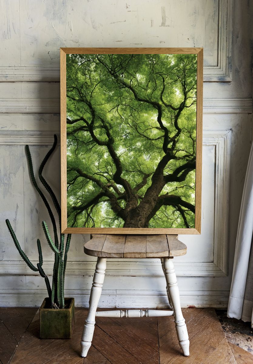 Canopy Tree Crown Nature Print. — room view 1