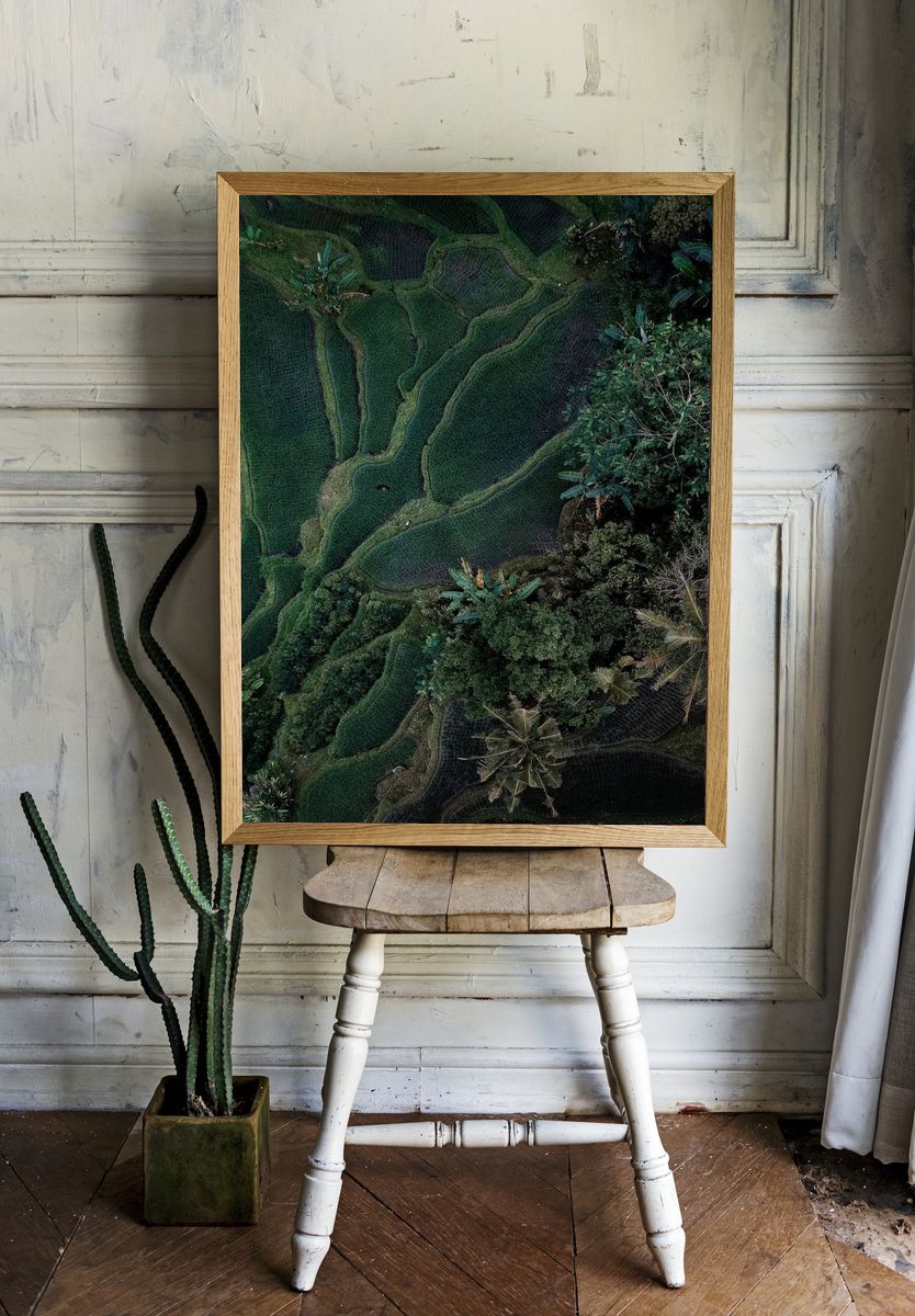 Aerial view hanging rice fields. — room view 1