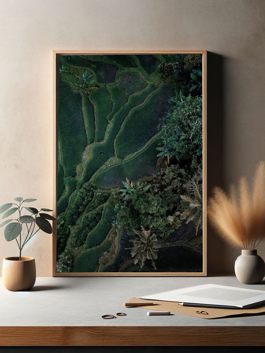 Aerial view hanging rice fields. — room view 2