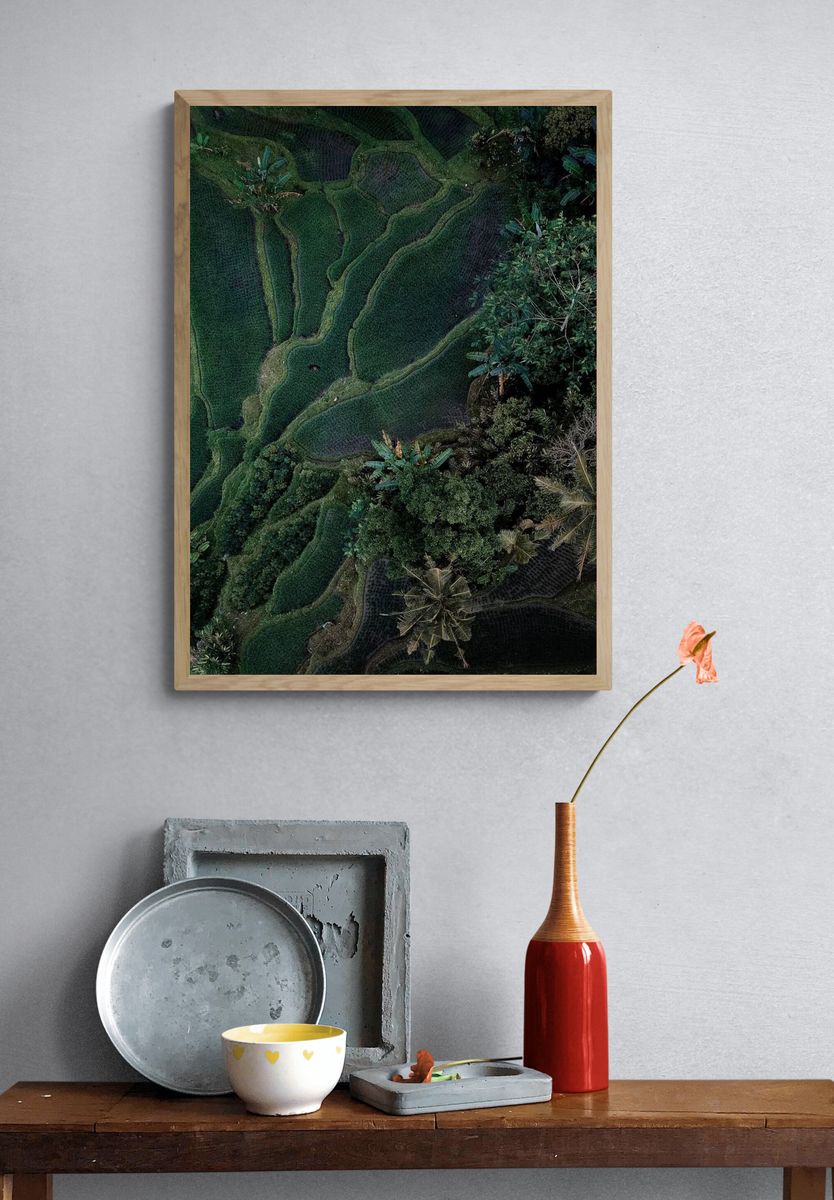Aerial view hanging rice fields. — room view 3