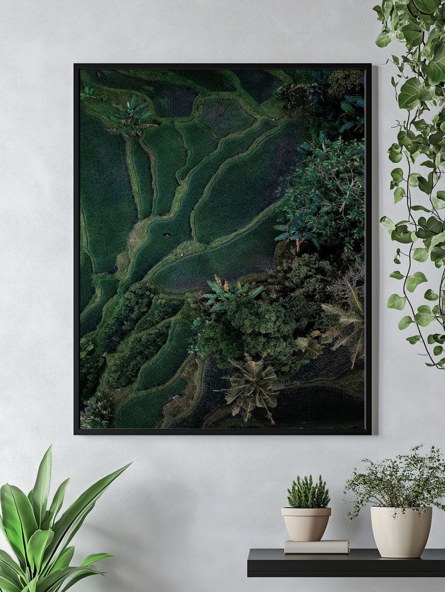 Aerial view hanging rice fields. — room view 4