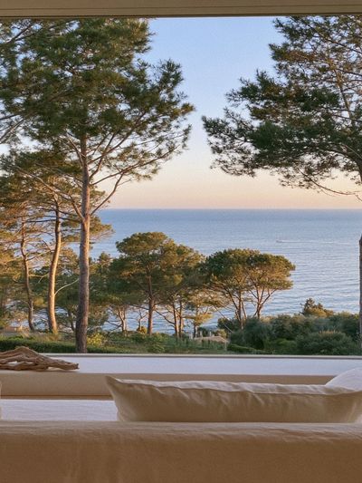 Coastal Pines Sea View Poster. poster