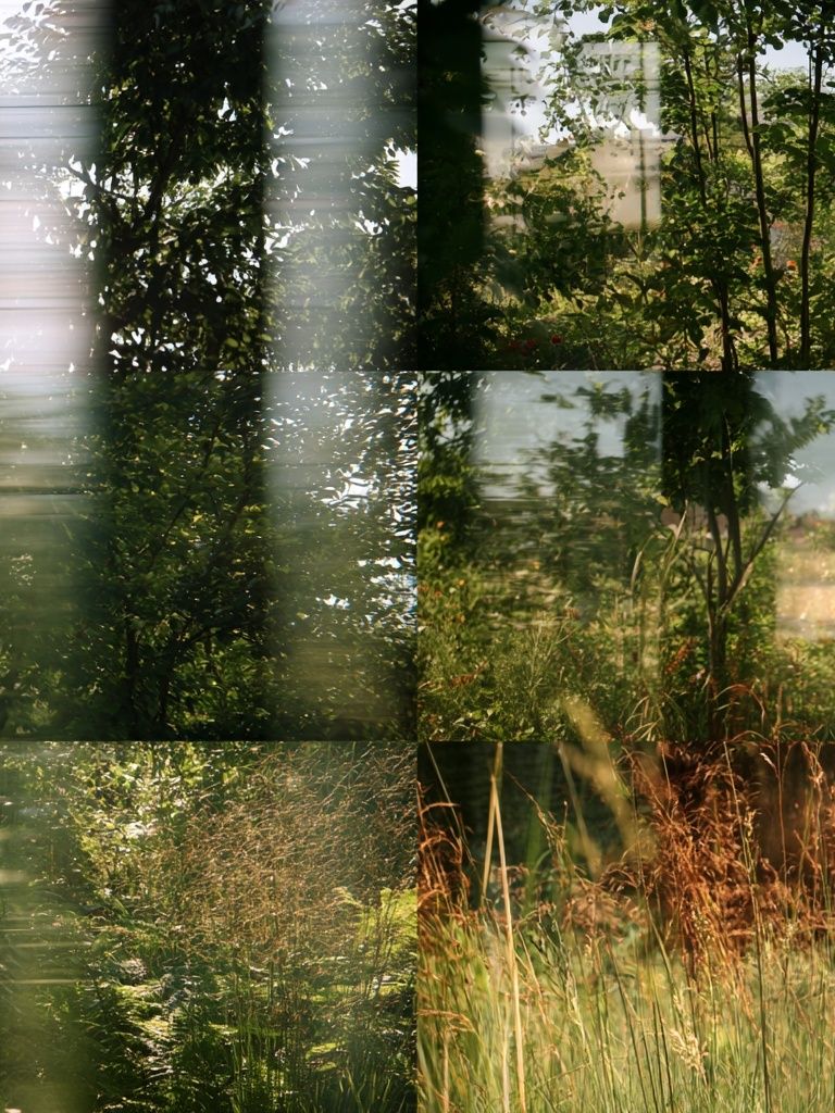 Sunlit Garden Meadow Photography Poster. poster — nature art