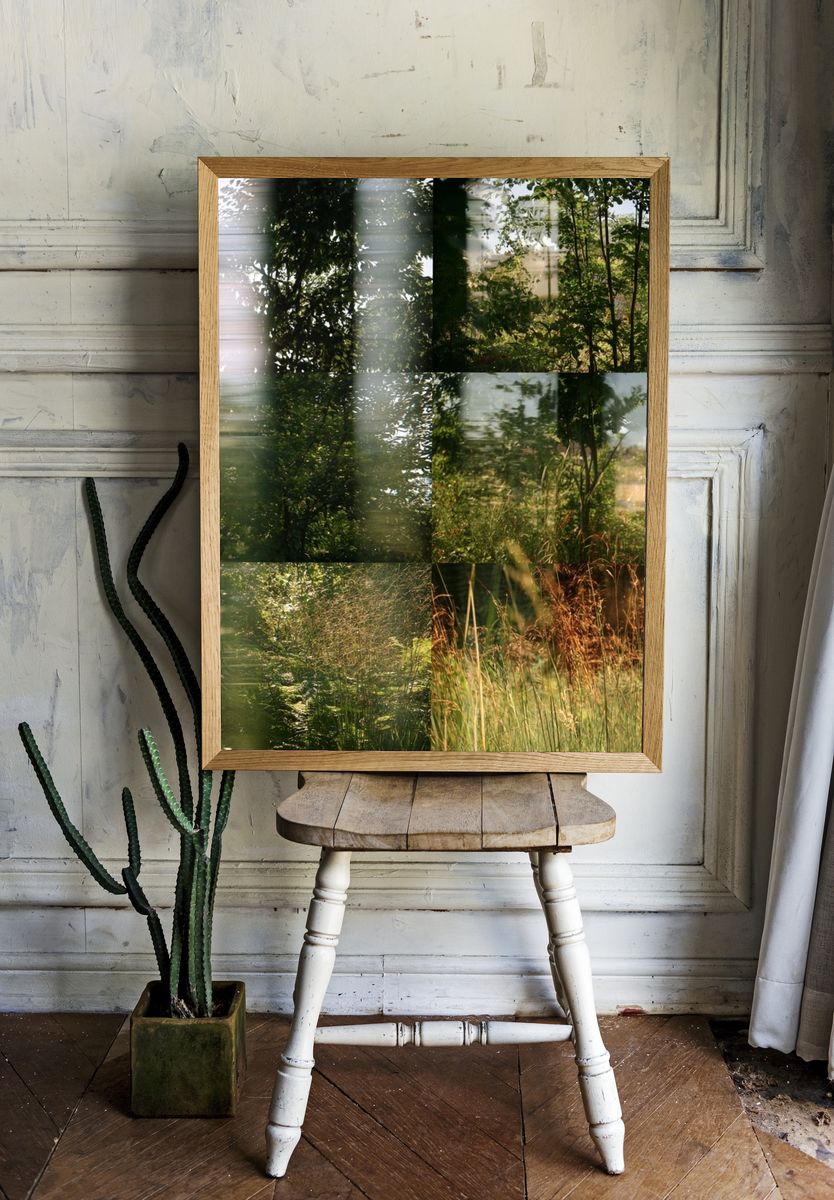 Sunlit Garden Meadow Photography Poster. — room view 1