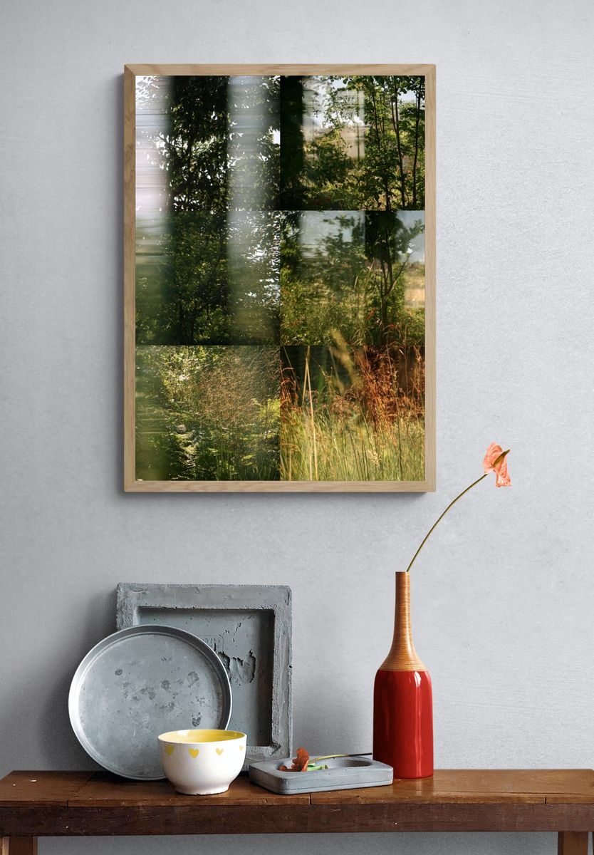 Sunlit Garden Meadow Photography Poster. — room view 3
