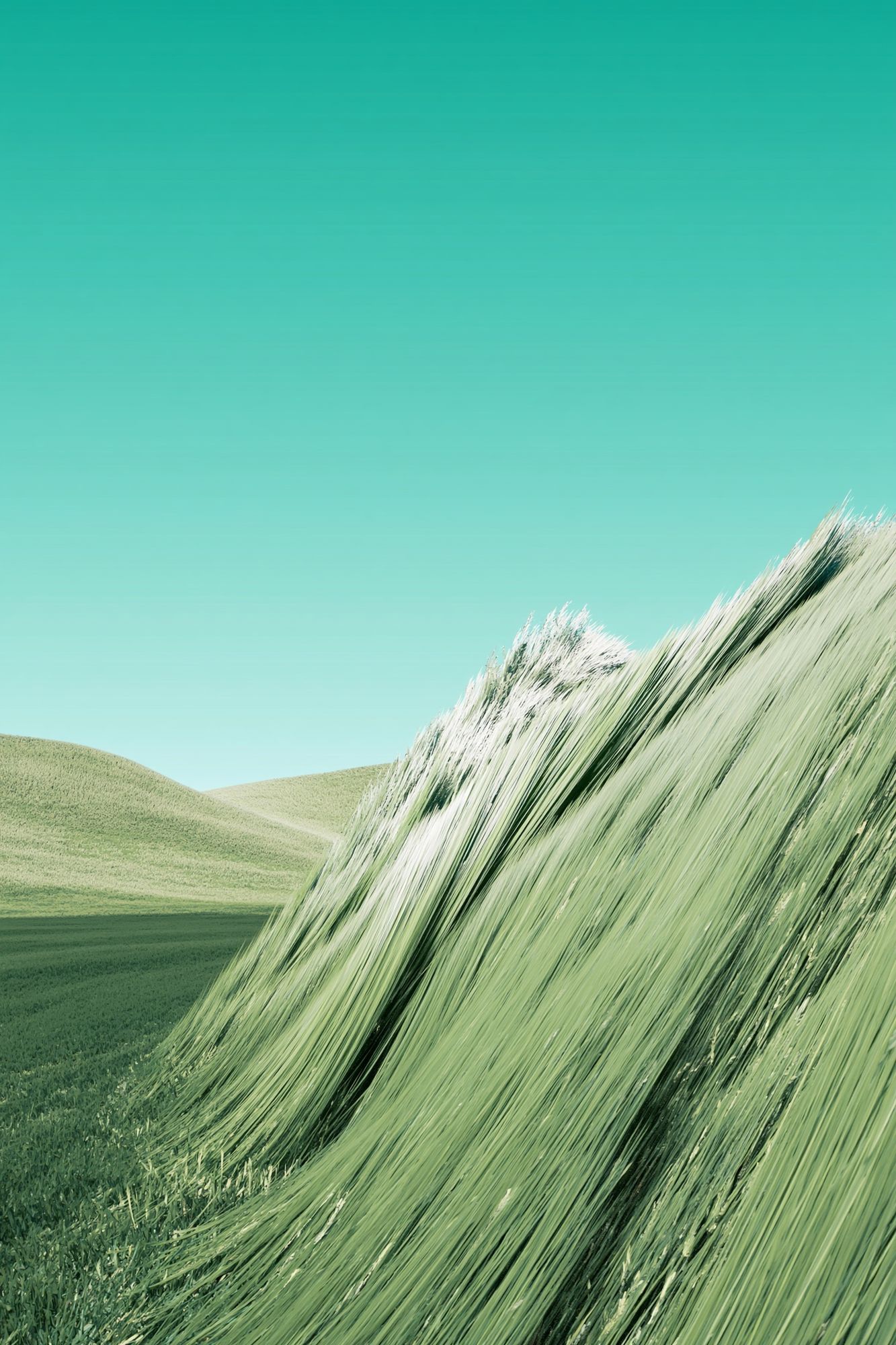 Wind-Swept Grassland Nature Print. poster — nature art