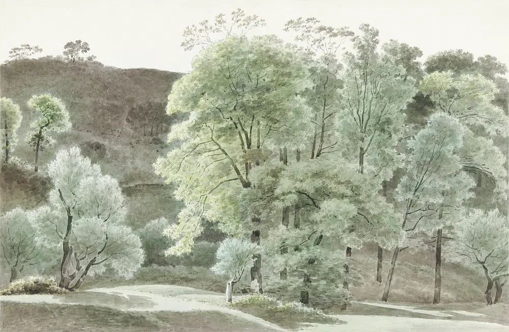 Bomen de omgeving van Subiaco. poster detail