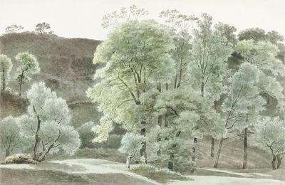 Bomen de omgeving van Subiaco