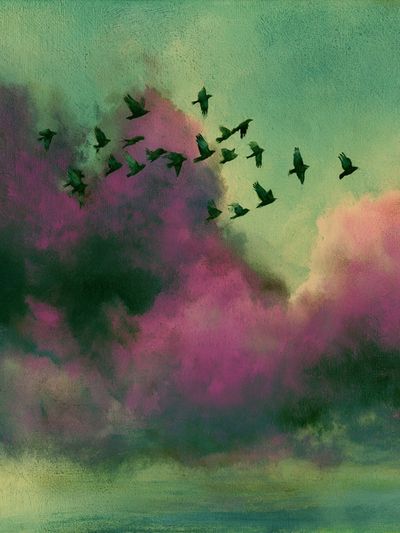 Birds Over Dreamy Clouds Print. poster