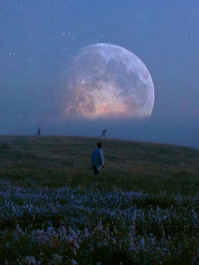 Moonlit Meadow Photography Poster. poster — nature art