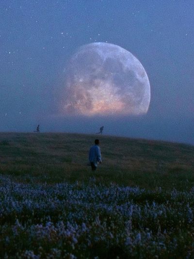 Moonlit Meadow Photography Poster. poster