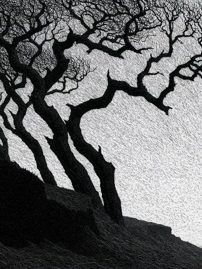 Twisted Tree Silhouette Print. poster