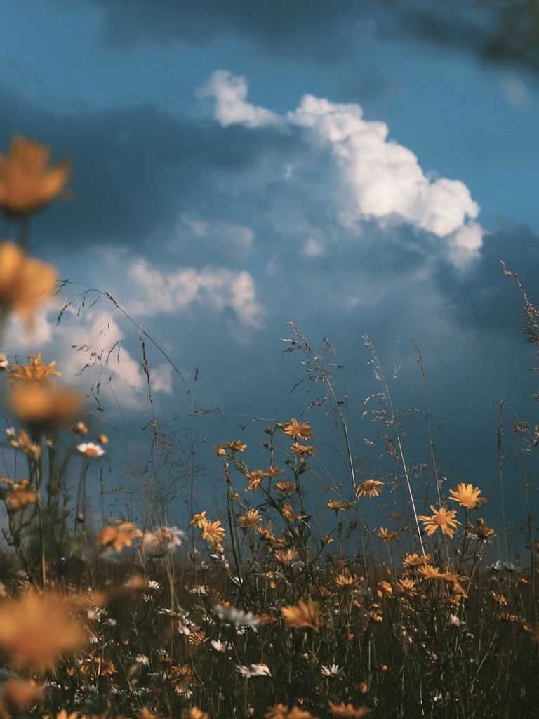 Wildflower Meadow Sky Print. poster — nature art