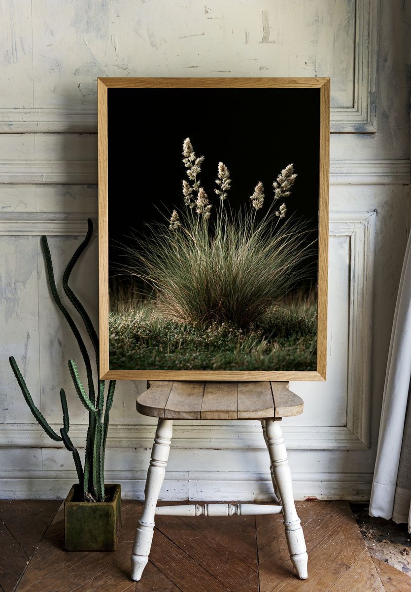 Wild Grass at Night Poster. — room view 1