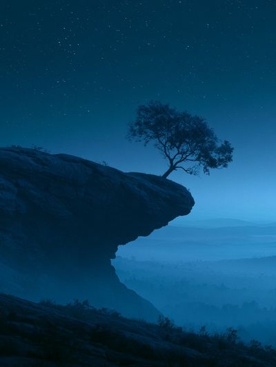 Moonlit Cliff Tree Nature Print.