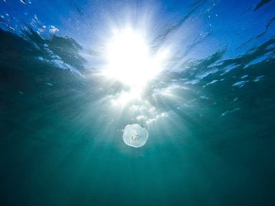 Underwater Sunburst Ocean Print. poster