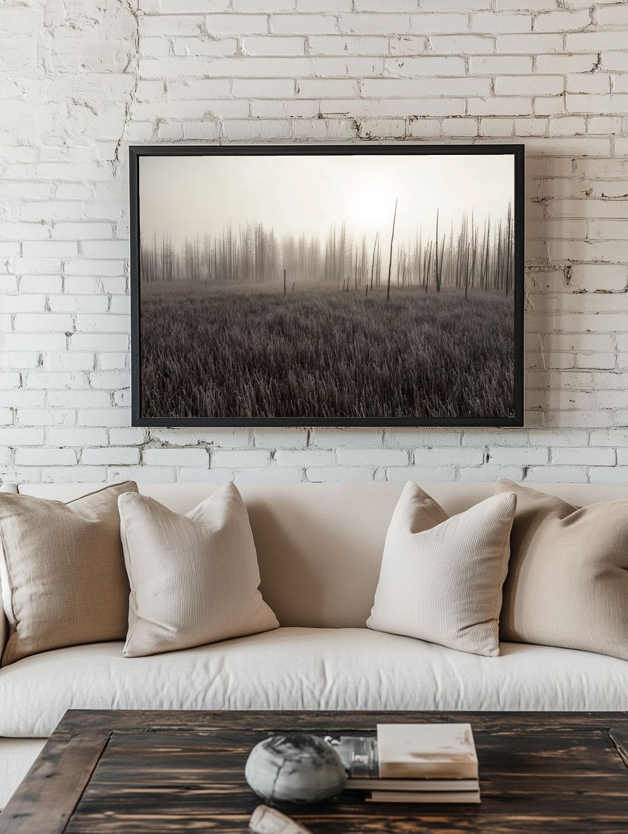 Misty Burnt Forest Landscape Print. — room view 1