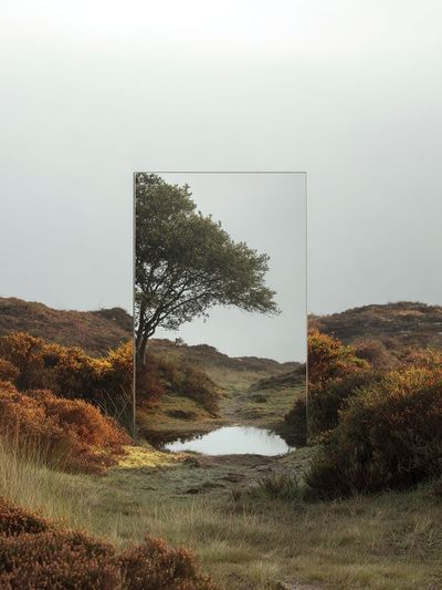 Misty Moorland Tree Poster.