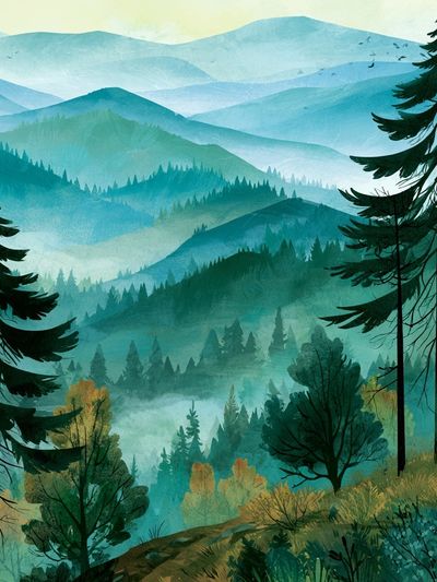 Misty Pine Forest Landscape Print.
