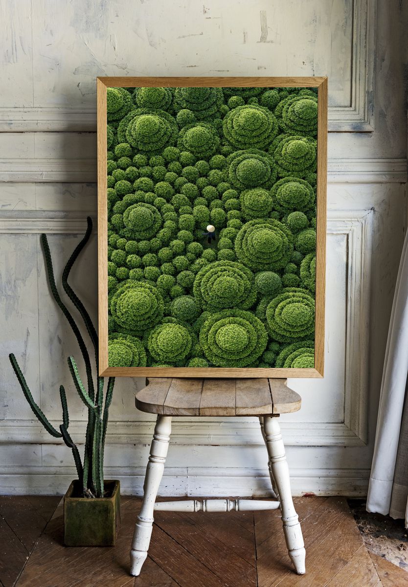 Topiary Garden Aerial Print. room preview