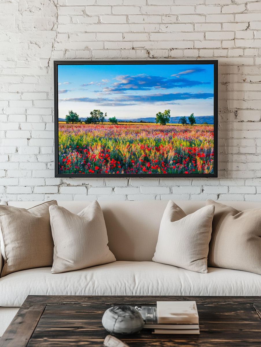 Red poppy field. Free public. — room view 1