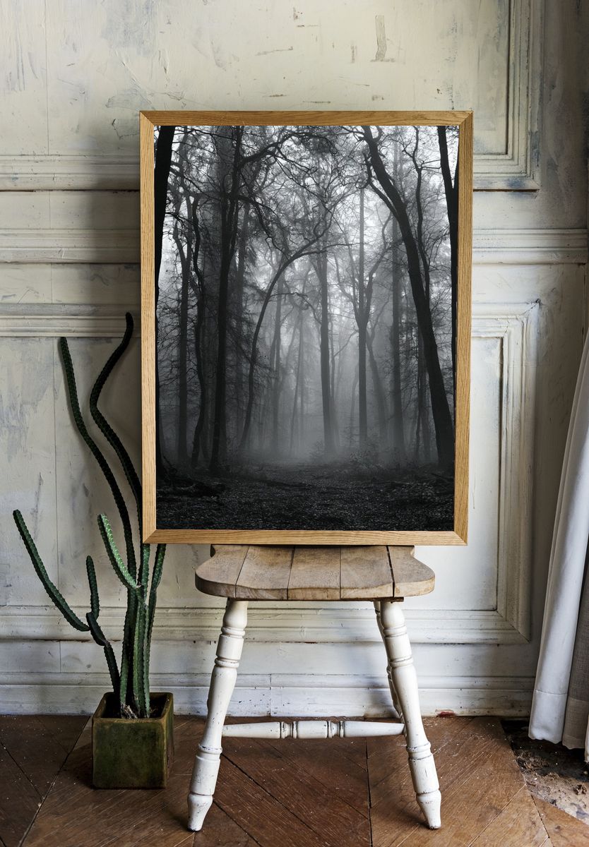 Misty Forest Path Photography Poster. — room view 1