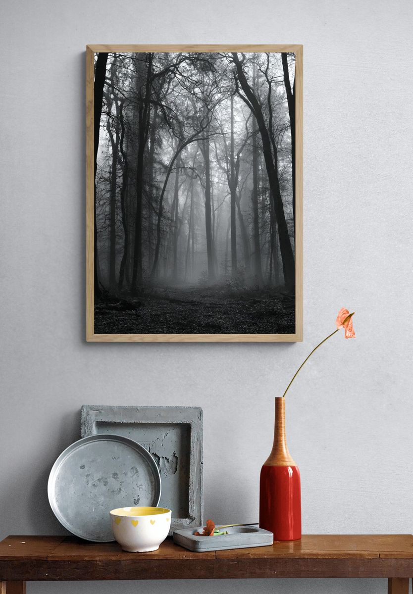 Misty Forest Path Photography Poster. — room view 3